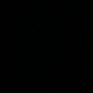 Meet your Posher, Brady